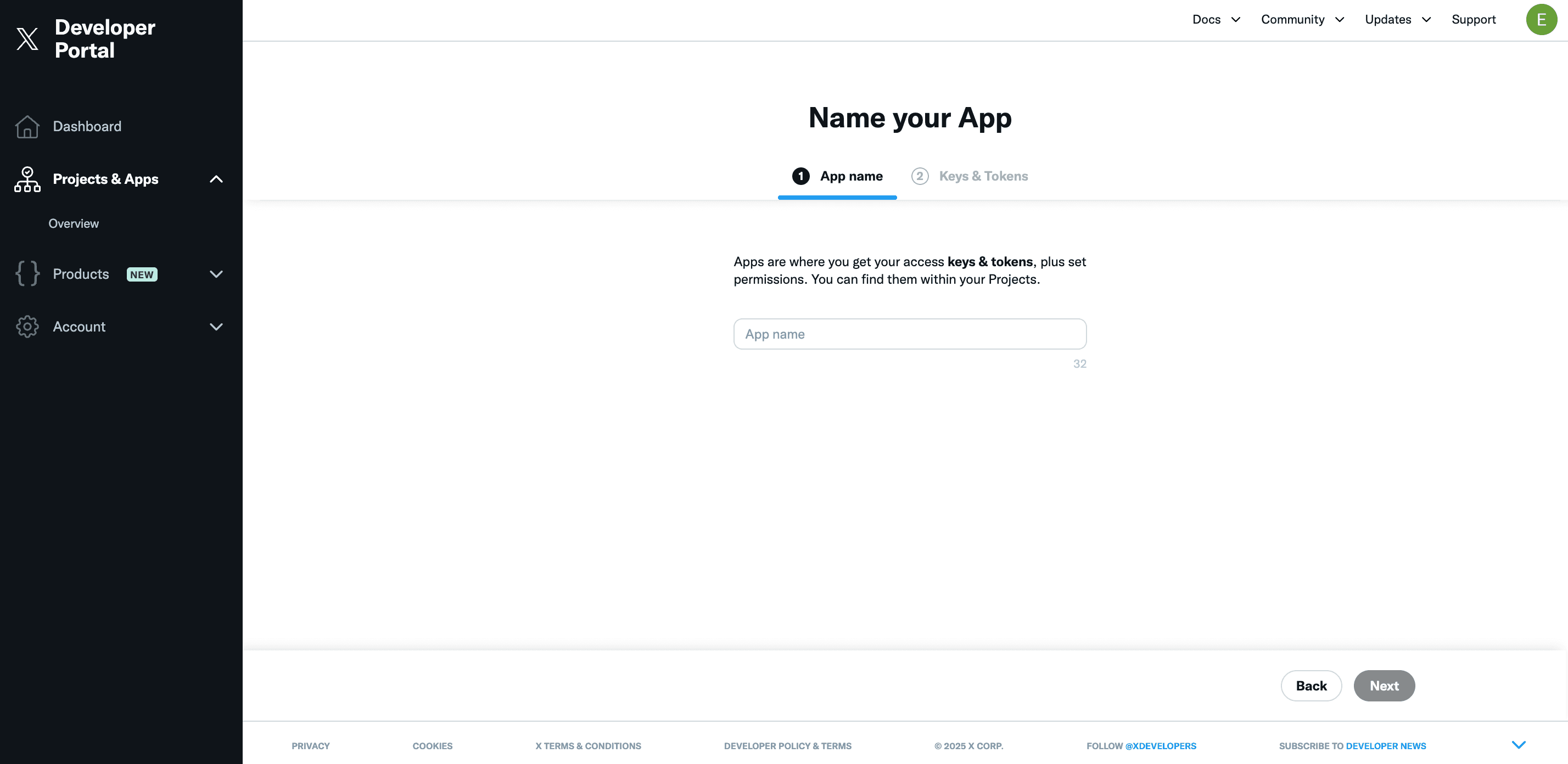 X Developer Portal Dashboard
